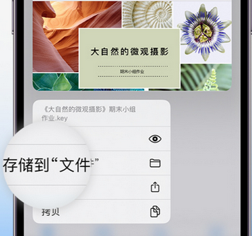 兴山apple维修中心分享iPhone文件应用中存储和找到下载文件