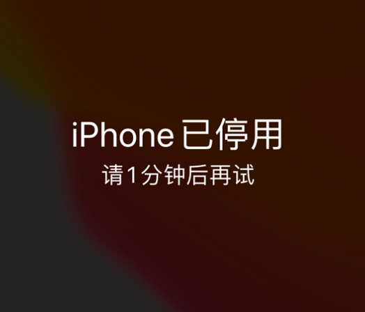 兴山苹果手机维修分享:iPhone 显示“不可用”或“已停用”怎么办？还能保留数据吗？ 