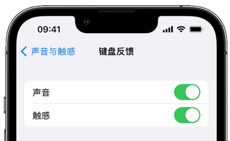 兴山苹果手机维修分享iPhone 14触感键盘使用方法 