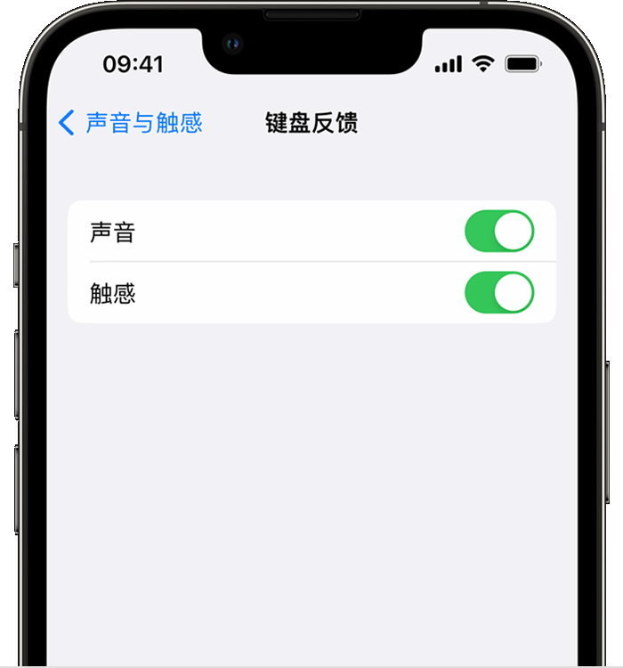 兴山苹果14维修店分享如何在 iPhone 14 机型中使用触感键盘 