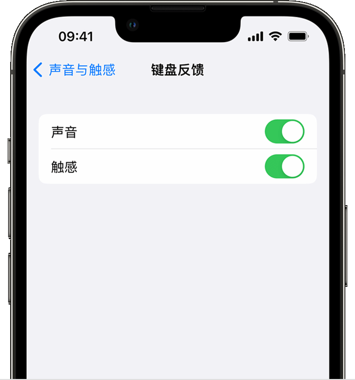 兴山苹果14维修分享iPhone 14 系列机型如何开启键盘声音或触感反馈 