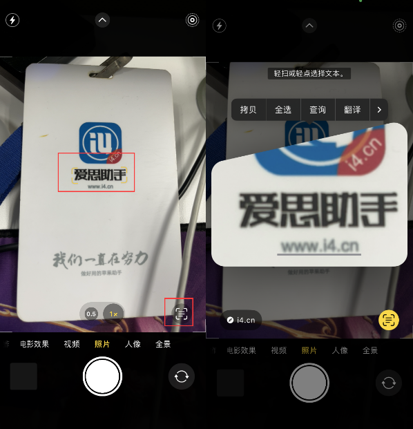 兴山苹果手机维修分享升级iOS 16后如何通过相机翻译文本 