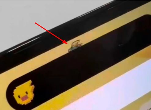 兴山苹果14维修分享iPhone 14 Pro Max灵动岛怎么养宠物 