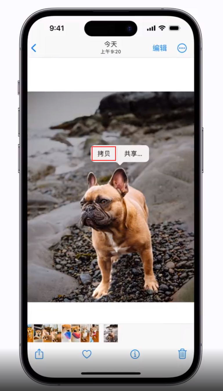 兴山苹果手机维修分享 iOS 16 自带一键抠图功能 