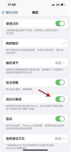 兴山苹果手机维修分享iPhone手机如何设置摇一摇删除文字 