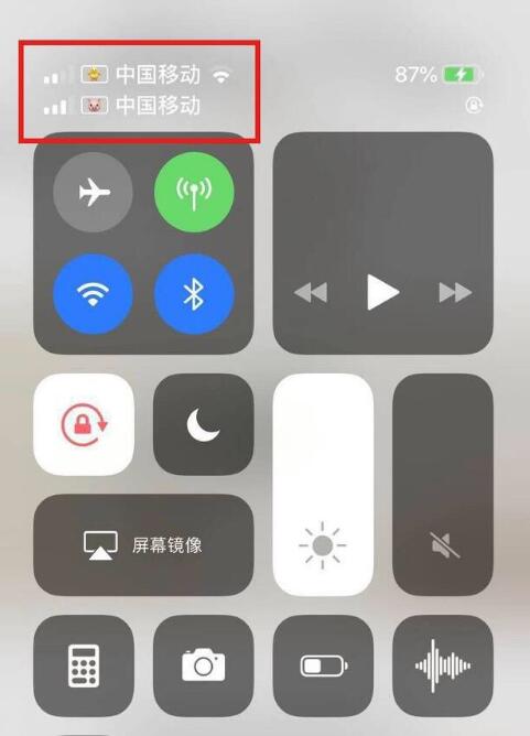 兴山苹果手机维修分享为 iPhone 12 双卡设置标签 
